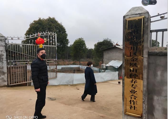 【黑龙江省哈尔滨市阿城区最新通告:所有人员足不出户,黑龙江省哈尔滨市阿城区疫情】