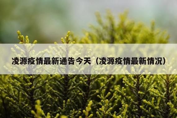 近6天疫情有望今冬结束(截止到今天疫情)