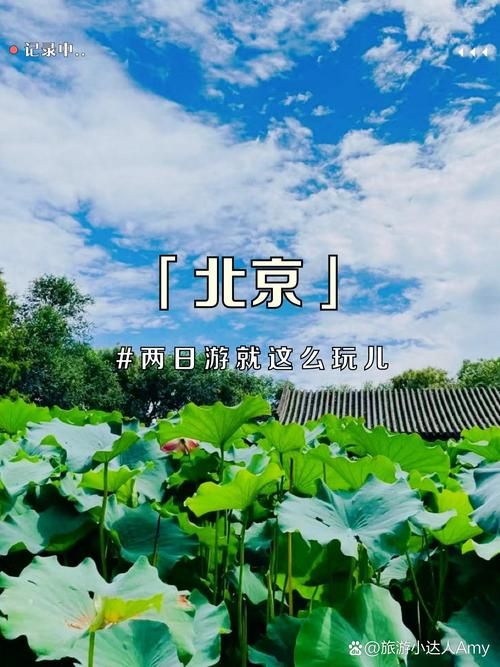 北京市最新最新通报:寻找同轨迹人员/北京市行程轨迹