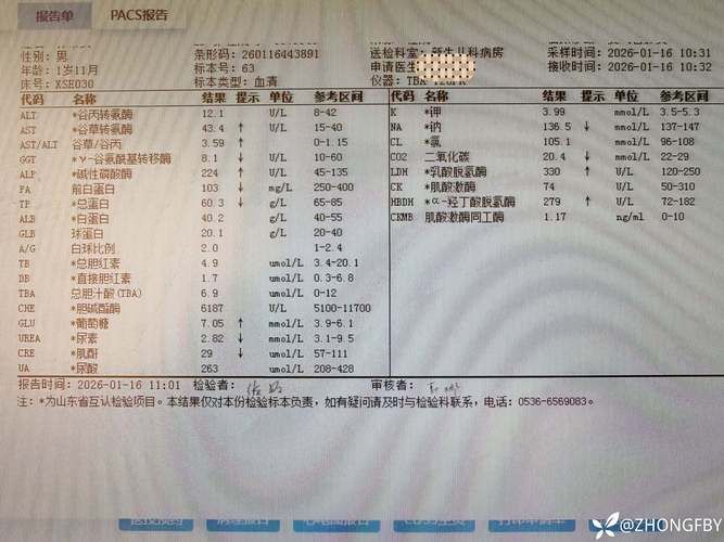 专家:吉林省吉林市桦甸市每年或现多个感染高峰:吉林桦甸新增病例