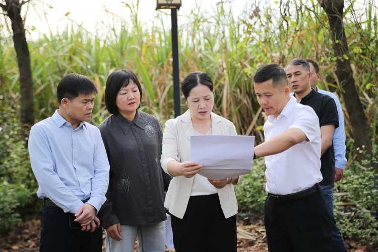 江州区现有境外输入23例/江州区新闻网