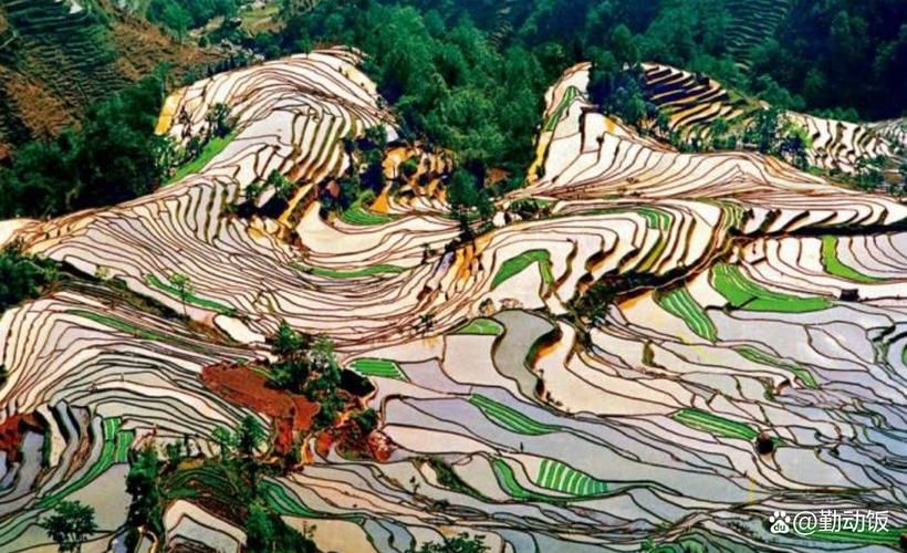 【云南省红河哈尼族彝族自治州红河县通报14例境外输入详情_红河县疫情防控恶性事件】