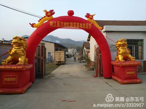 【湖南益阳湖南益阳高新技术产业园区新增重症10例,均在准格尔旗,益阳高新区疫情】