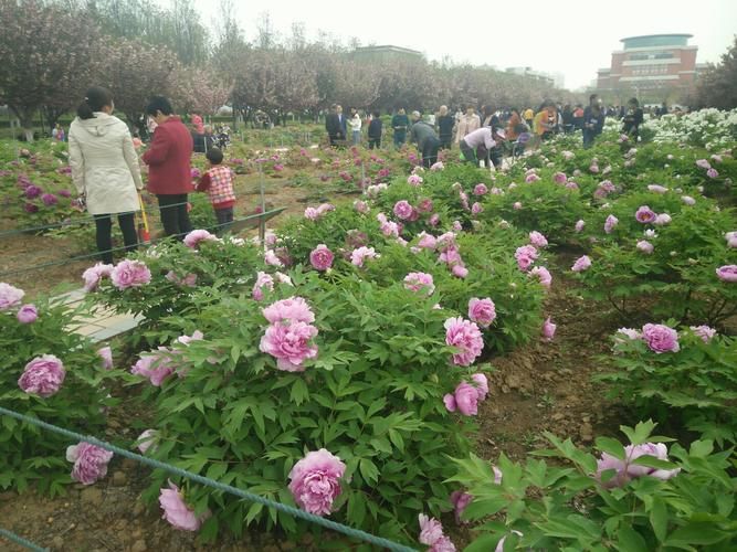 【陕西咸阳杨陵区静默标准最新公布,西安咸阳杨陵区】