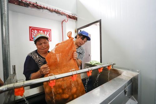  重庆市巫溪县封城标准最新公布:重庆巫溪疫情交通管制