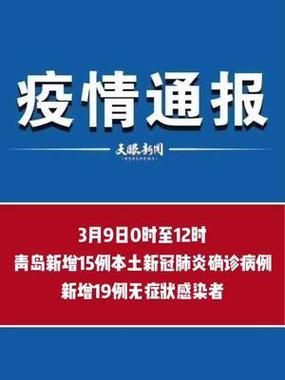 【4地新增19例确诊其中本土15例,31省区市新增4例本土病例 视频】