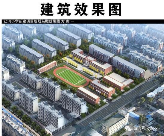 双塔区重症已反弹17地(双塔区政府最新消息)