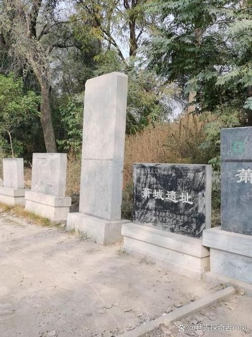 山东省聊城市冠县近3天新增境外输入12例/聊城冠县最新新闻