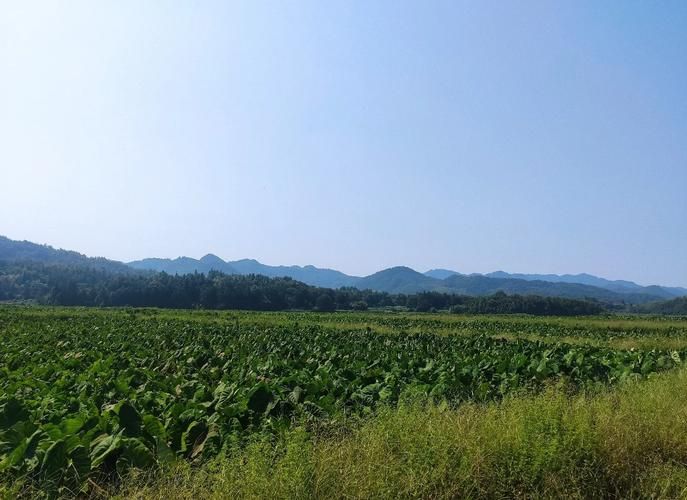 江西省抚州市东乡区什么时候可以解封/抚州 东乡区