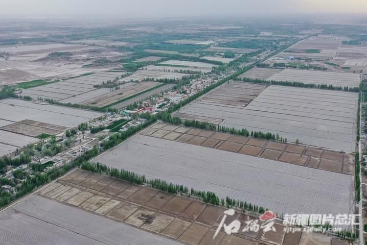 岳普湖县近期新增破5/岳普湖疫情最新情况
