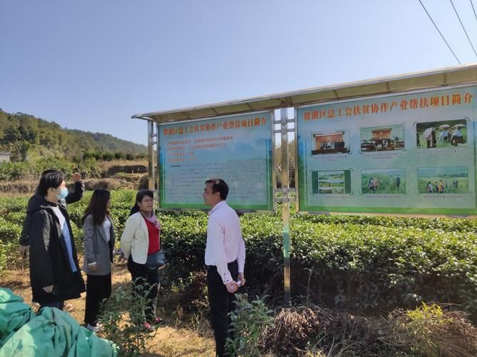 昭平县管控区区重症详情/昭平县吧