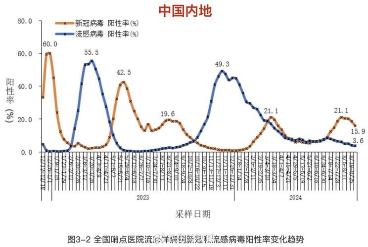 31省份增24例重症(全国疫情重症人数)