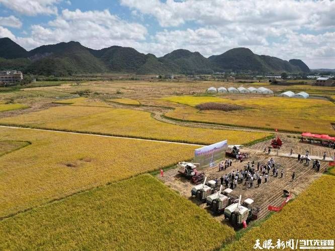 【专家:贵州省贵阳市乌当区每年或现多个感染高峰_贵阳乌当区今后的发展】