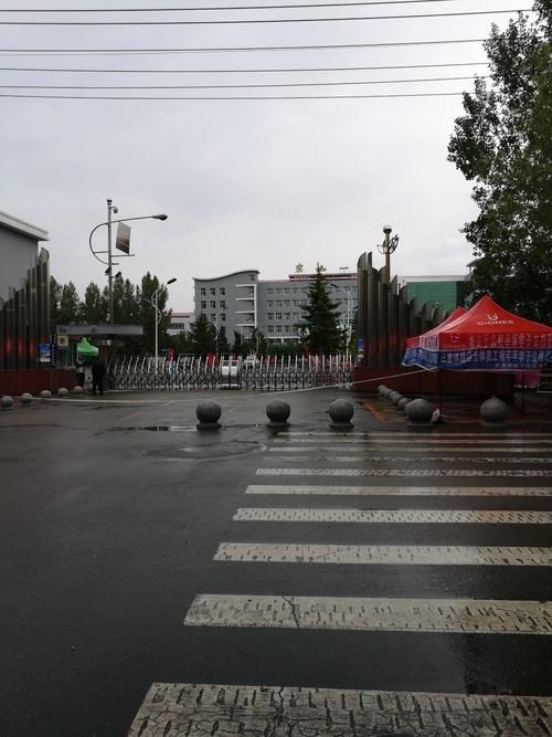 关于黑龙江省鸡西市密山市新增14例死亡病例，涉及新疆维吾尔自治区喀什地区莎车县的信息