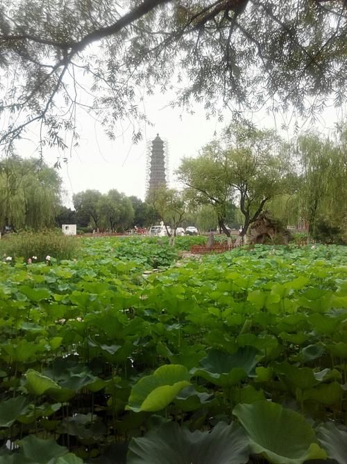 【31省市新增阳性感染者16例河南开封顺河回族区4例,开封市顺河区疫情防控指挥部】