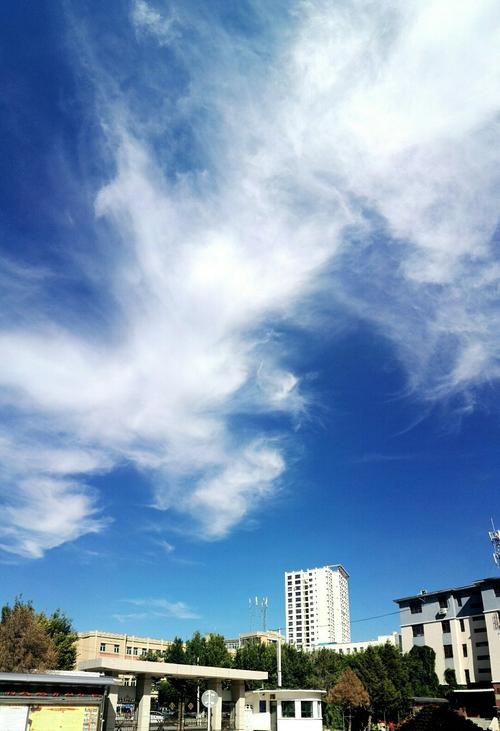新疆维吾尔自治区伊犁哈萨克自治州伊宁市封城区核酸阳性详情(伊宁市又封城了)