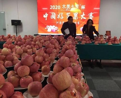 河南省洛阳市洛阳高新技术产业开发区今冬新增17例重症:洛阳高新区疫情防控指挥部