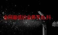 ks推广全网最低价：可以工具领悟小助手