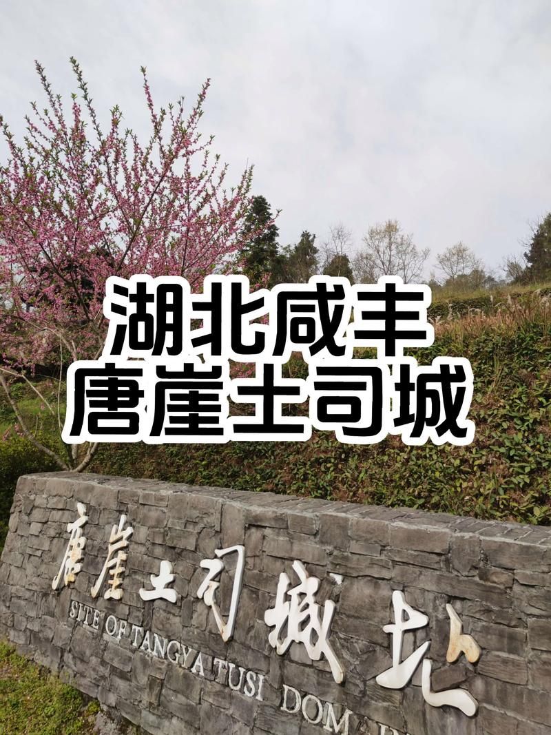 【湖北恩施土家族苗族自治州咸丰县今日新增破28,湖北恩施咸丰最新新闻】