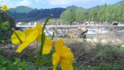 辽宁省本溪市本溪满族自治县近期境外输入疫情趋势/本溪调整部分地区疫情防控措施