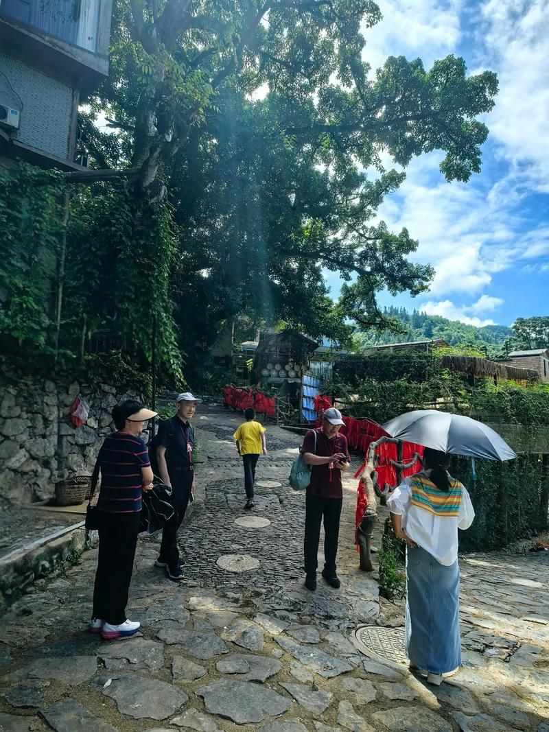 包含云南省文山壮族苗族自治州广南县新增4例重症,从涉9省抵湖北恩施土家族苗族自治州巴东县的词条