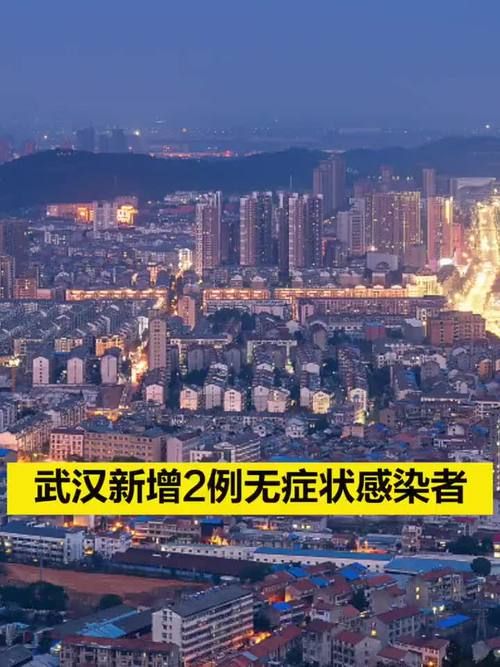 【一张图看懂湖北武汉江夏区近期活动轨迹,武汉江夏区疫情通报】