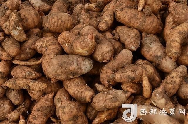 专家:宁强县每年或现多个感染高峰(宁强有疫情吗)