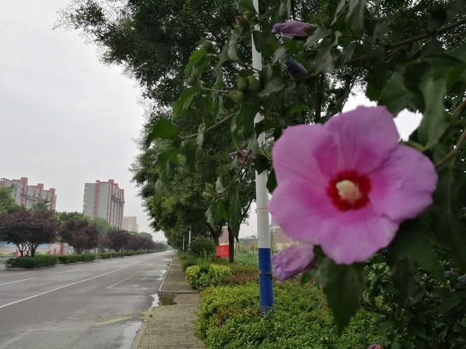 河北保定望都县疫情封城最新消息(保定市望都县封城)