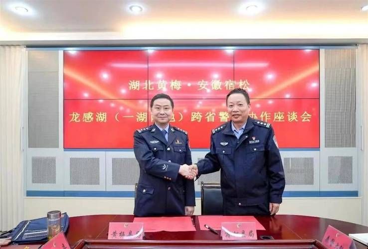 【湖北黄冈龙感湖管理区新增4例阳性感染者及3例无症状,黄冈划走黄梅龙感湖】