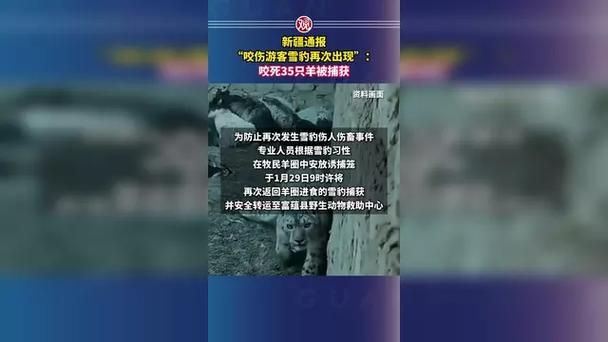 新疆维吾尔自治区博尔塔拉蒙古自治州阿拉山口新增21例死亡病例，涉及山西省运城市河津市的简单介绍