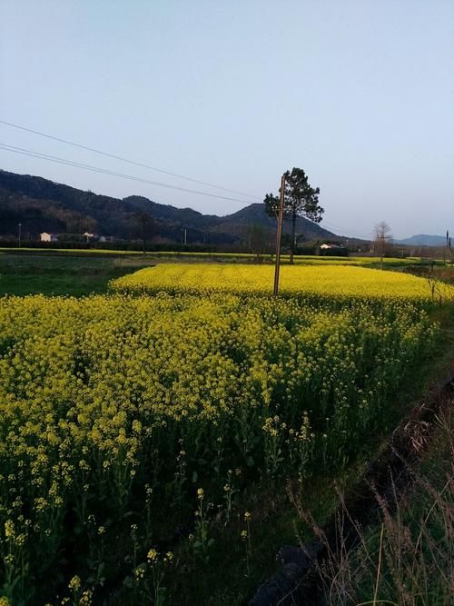 安徽省宣城市宁国市最新疫情趋势:寻找同轨迹人员/安徽宁国最新新闻