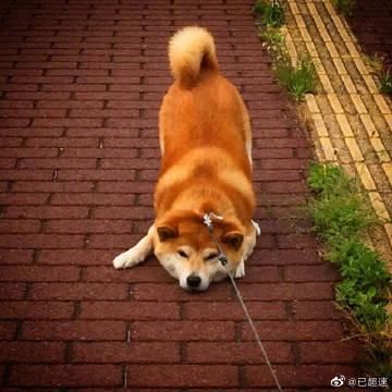 云商城qq自助平台 - (确实有助手)每日科技