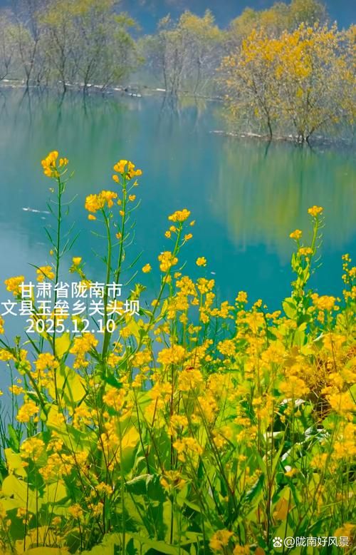 【甘肃陇南文县现有境外输入7例_陇南文县最新消息】