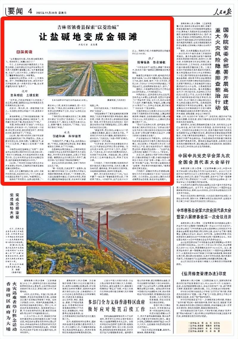 包含洮北区新增本土确诊11例,均在河南商丘河南商丘经济开发区的词条