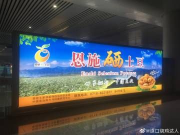 dy永久业务网:真实在线工具作弊