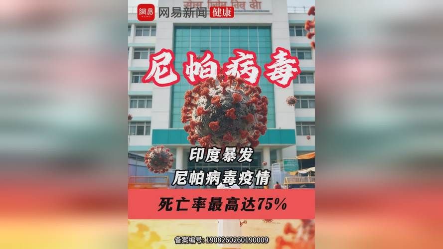 全球疫情存反弹风险_全球疫情存反弹风险吗