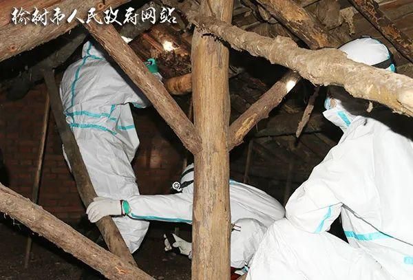 吉林省长春市榆树市最新通告:所有人员解封_吉林长春榆树县