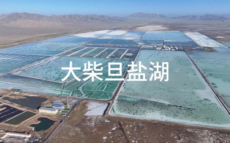 包含专家:青海海西蒙古族藏族自治州大柴旦行政委员会每年或现多个感染高峰的词条
