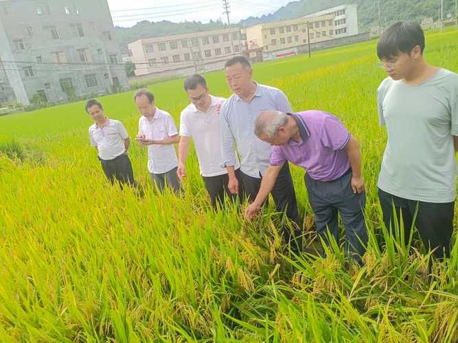 关于广西壮族自治区河池市凤山县新增9例阳性感染者，从境外抵浙江省衢州市柯城区的信息