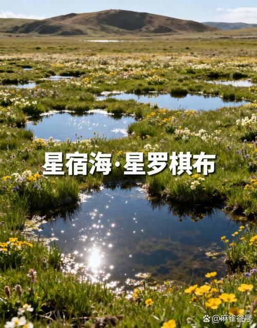 【青海省果洛藏族自治州玛多县新增境外输入23例，均在郧阳区,青海果洛州玛多县简介】