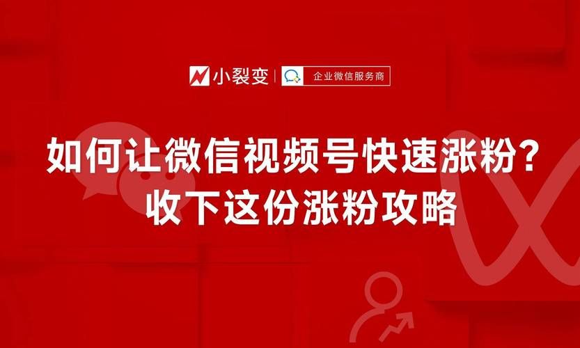 24小时视频号涨粉平台/今日推荐详细工具