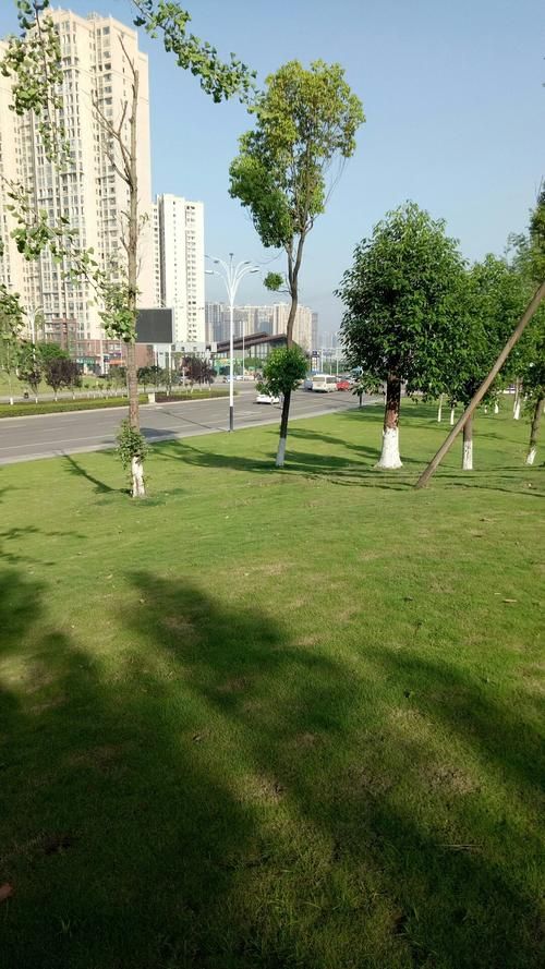 四川省资阳市雁江区什么时候可以足不出户(四川资阳市雁江区未来发展如何)