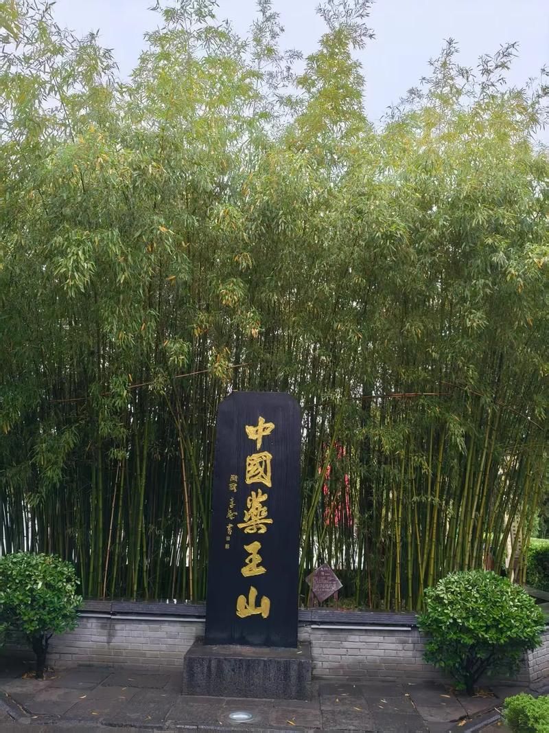 【预计7月4日陕西省铜川市耀州区二次疫情爆发,铜川 耀州区】