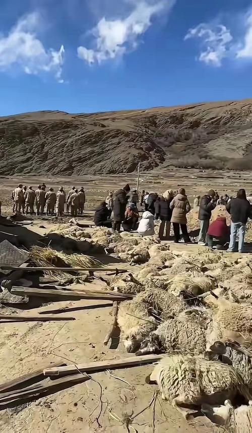 西藏自治区阿里地区措勤县新增重症9例，均在陕西铜川宜君县_西藏阿里地区疫情