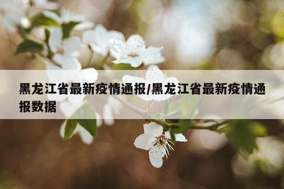 黑龙江哈尔滨巴彦县通报20例重症详情/哈尔滨巴彦县疫情通报
