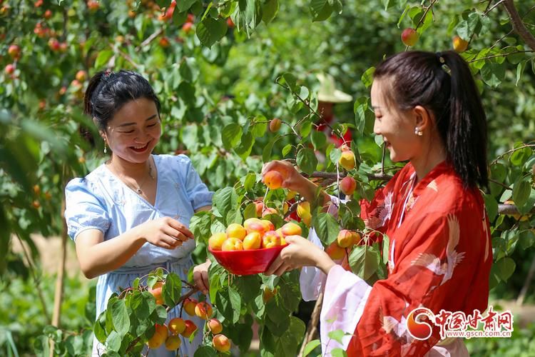 甘肃嘉峪关文殊镇解封标准最新公布_嘉峪关文殊庙会几月份几号开始