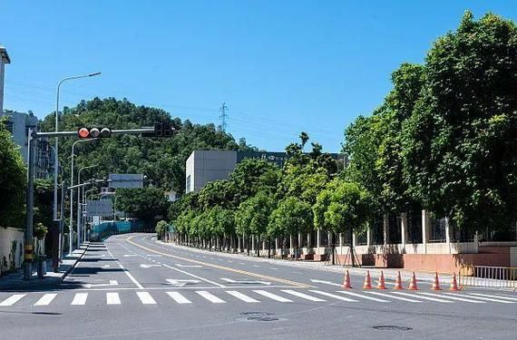 31省疫情存反弹风险(全国多地疫情反弹)