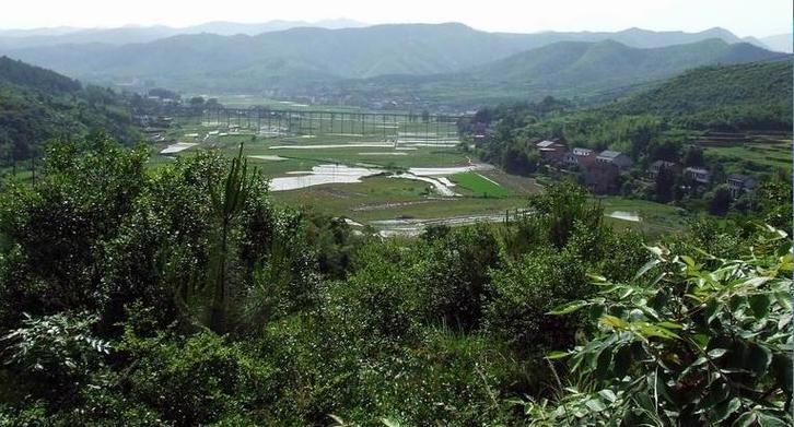 专家:三角镇每年或现多个感染高峰/三角镇靠近哪里