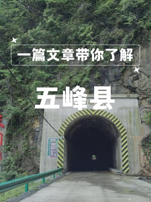 包含湖北宜昌五峰土家族自治县新增30例无症状感染者,从涉5省抵洛阳市的词条