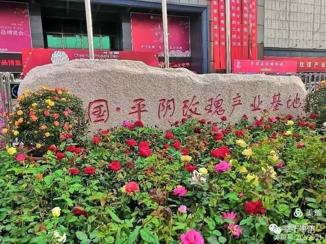 平阴县现有死亡病例2例/平阴疑似病例